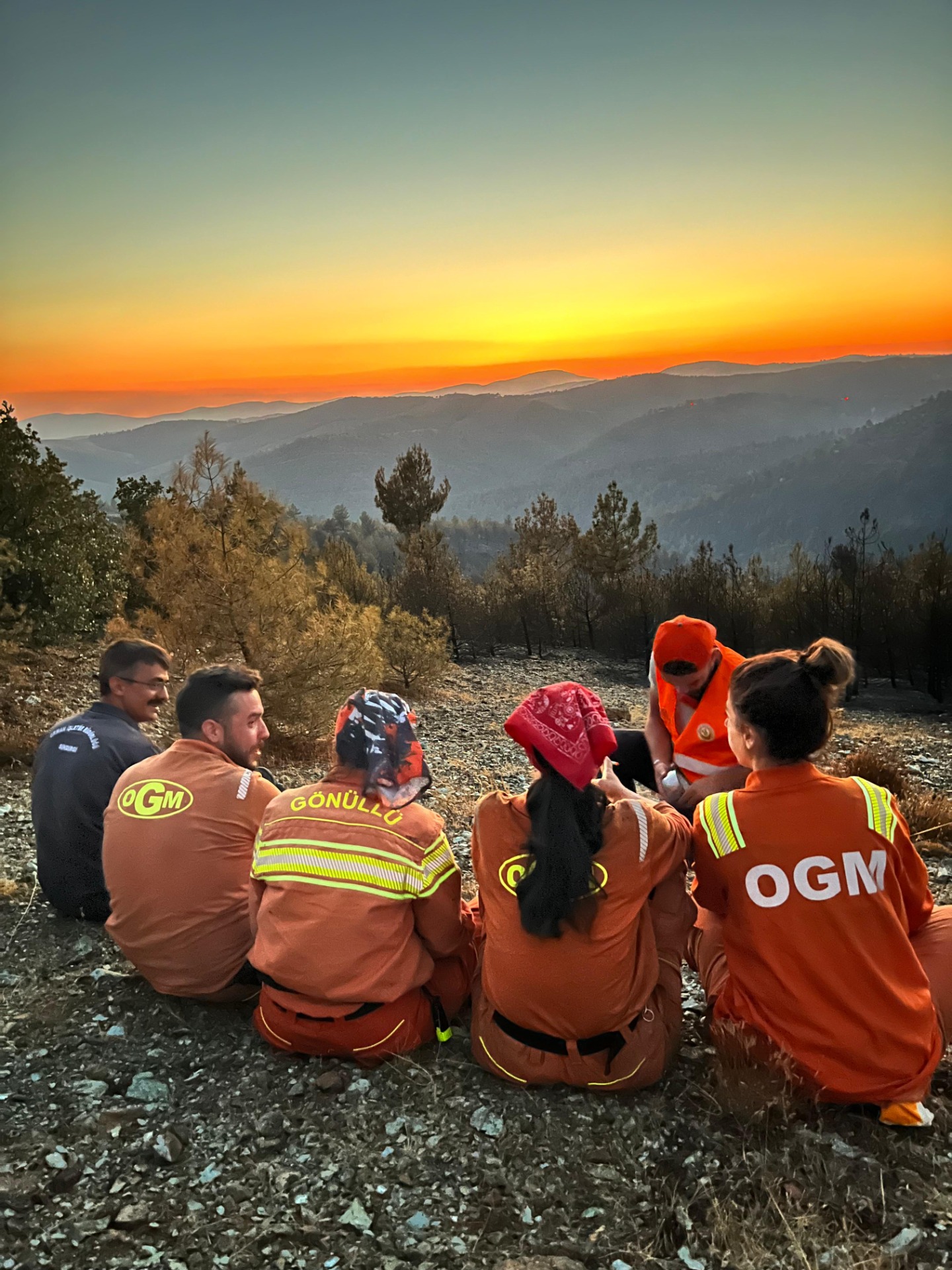 BURSA ORMAN YANGINI